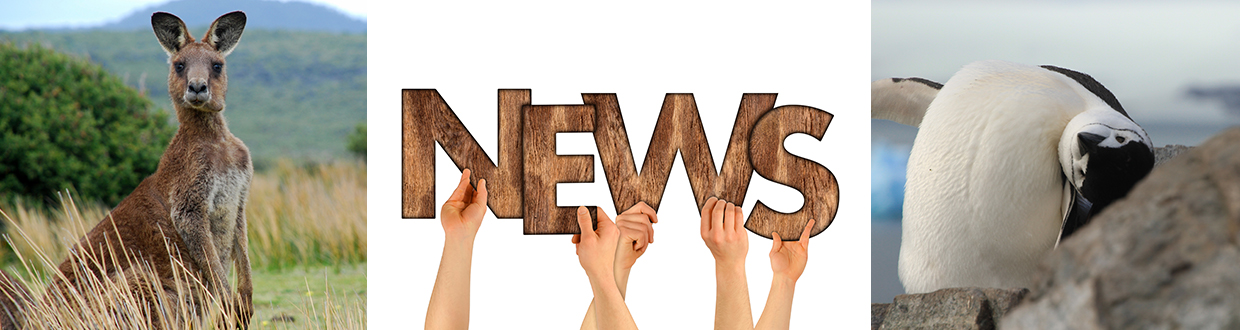 1240x330_Banner_Newsletter_panthermedia