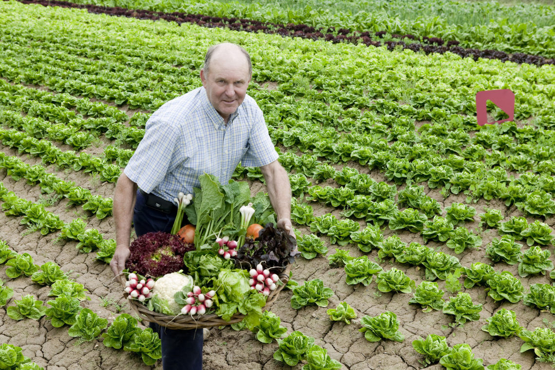 Tomás, der Gemüsebauer