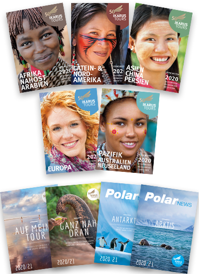 Webseite_Beitrag_355x550_Kataloge_2020